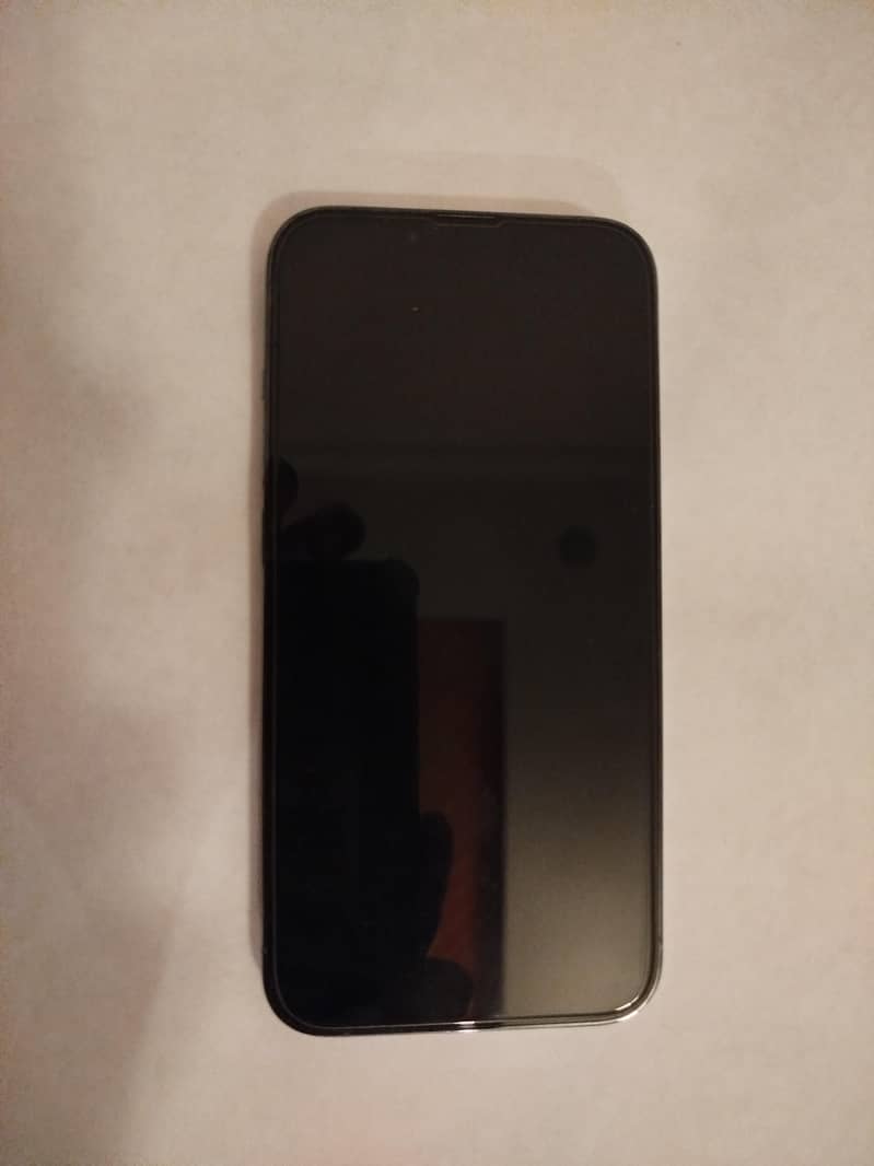 Apple iPhone 13 Pro Max 1