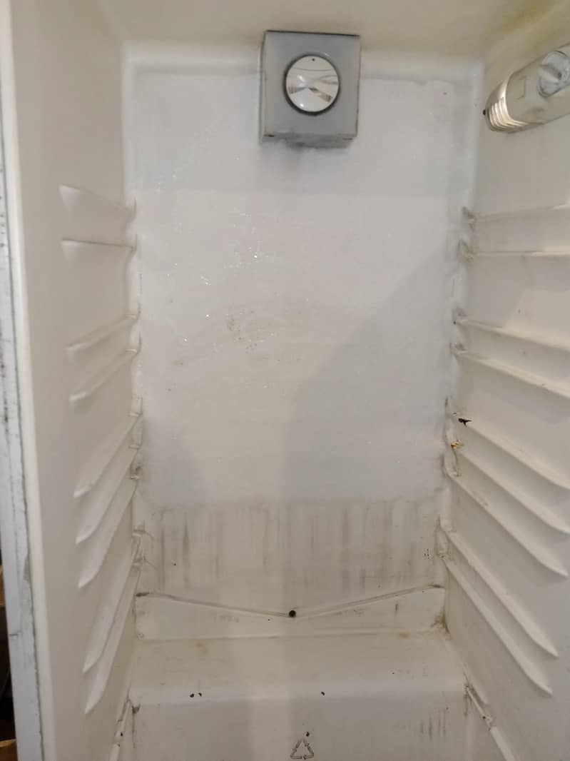 Electrolux fridge 1
