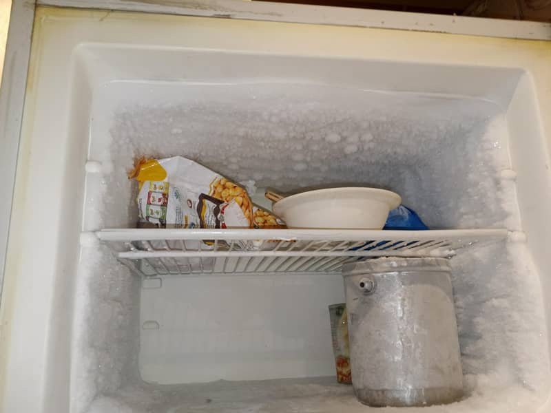 Electrolux fridge 2