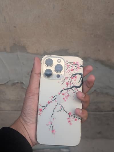 Apple iPhone 13 Pro
