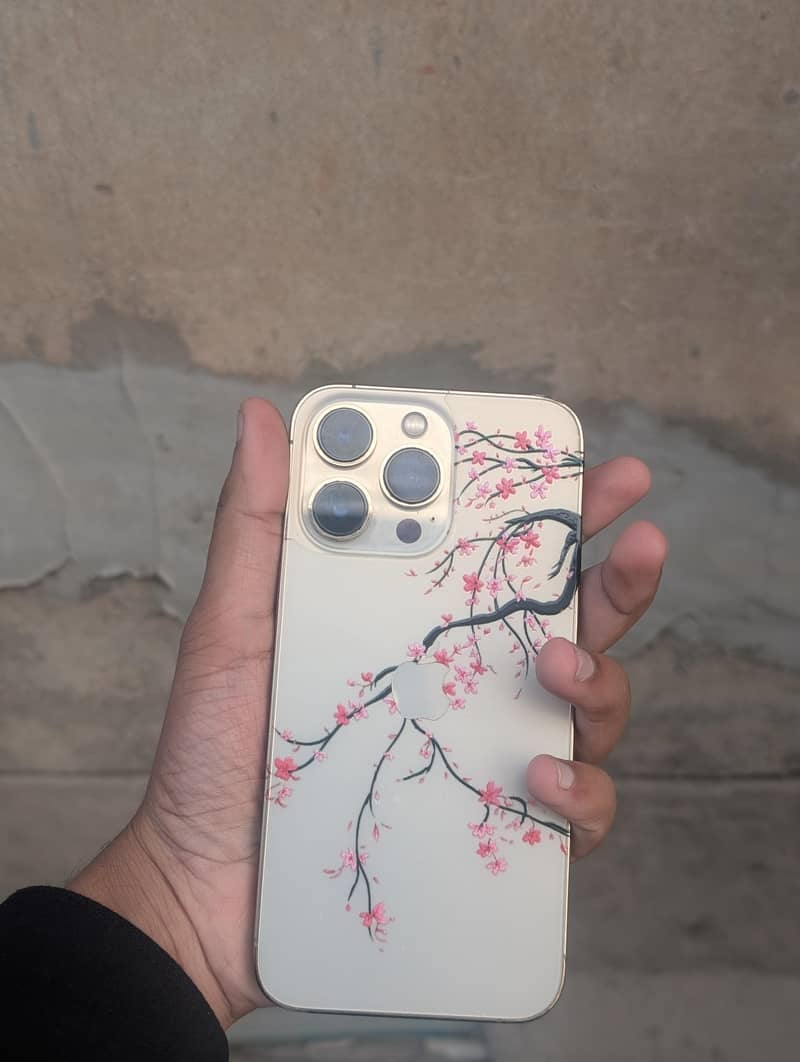 Apple iPhone 13 Pro 0