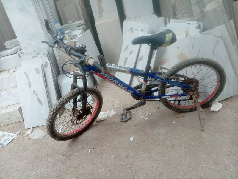 Morgan cycle 0