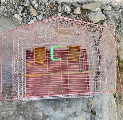 Parrot cage