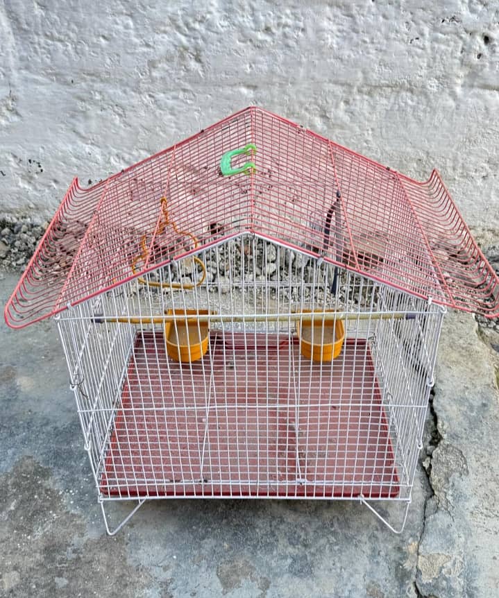 Parrot cage 1