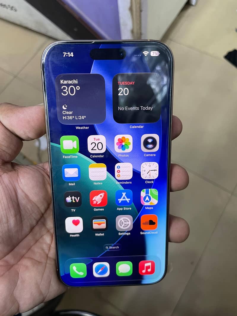 Apple iPhone 16 Pro Max 6