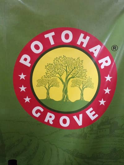 Packaging & Labeling