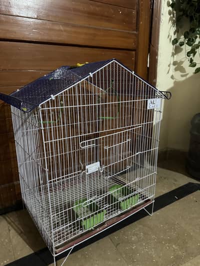 Birds cage for sale