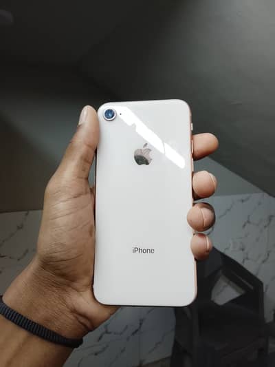 iPhone 8