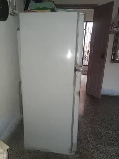 Fridge