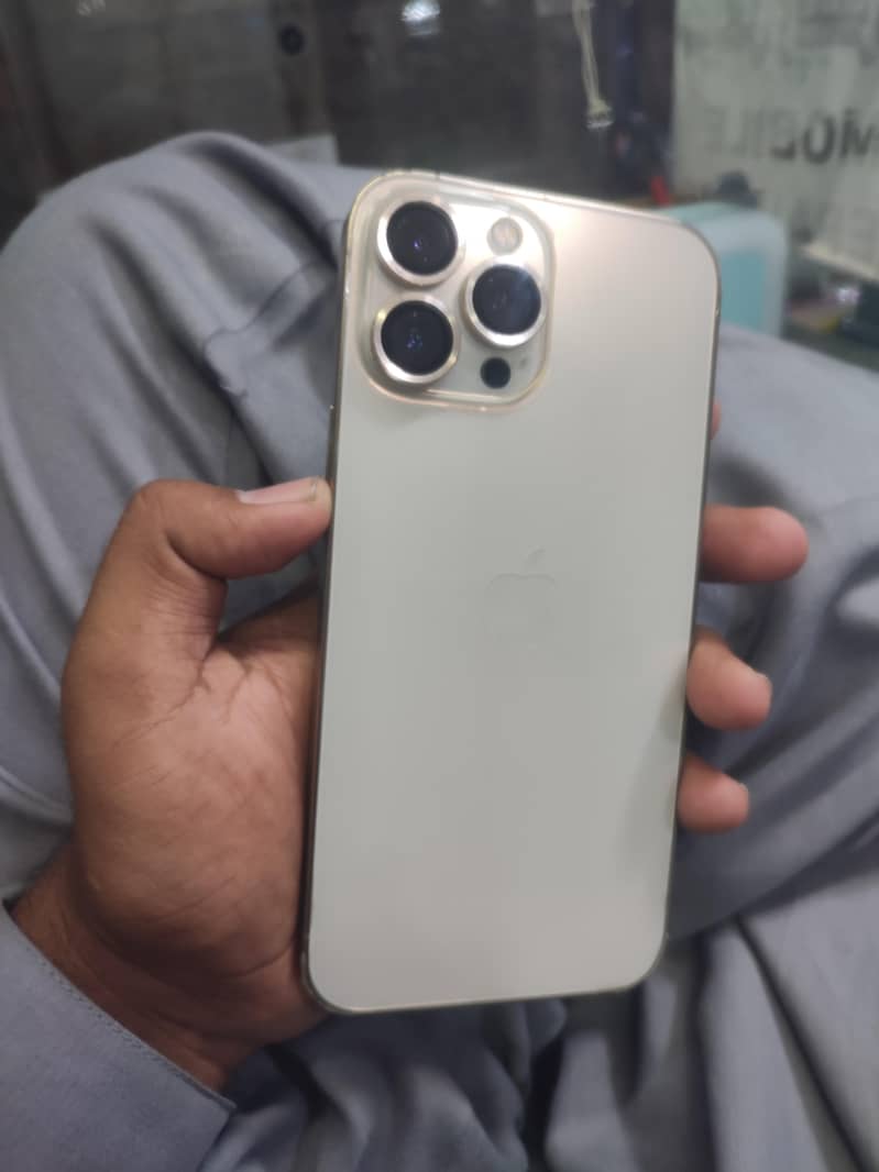 Apple iPhone 13 Pro Max 3