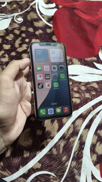 Apple iPhone XS