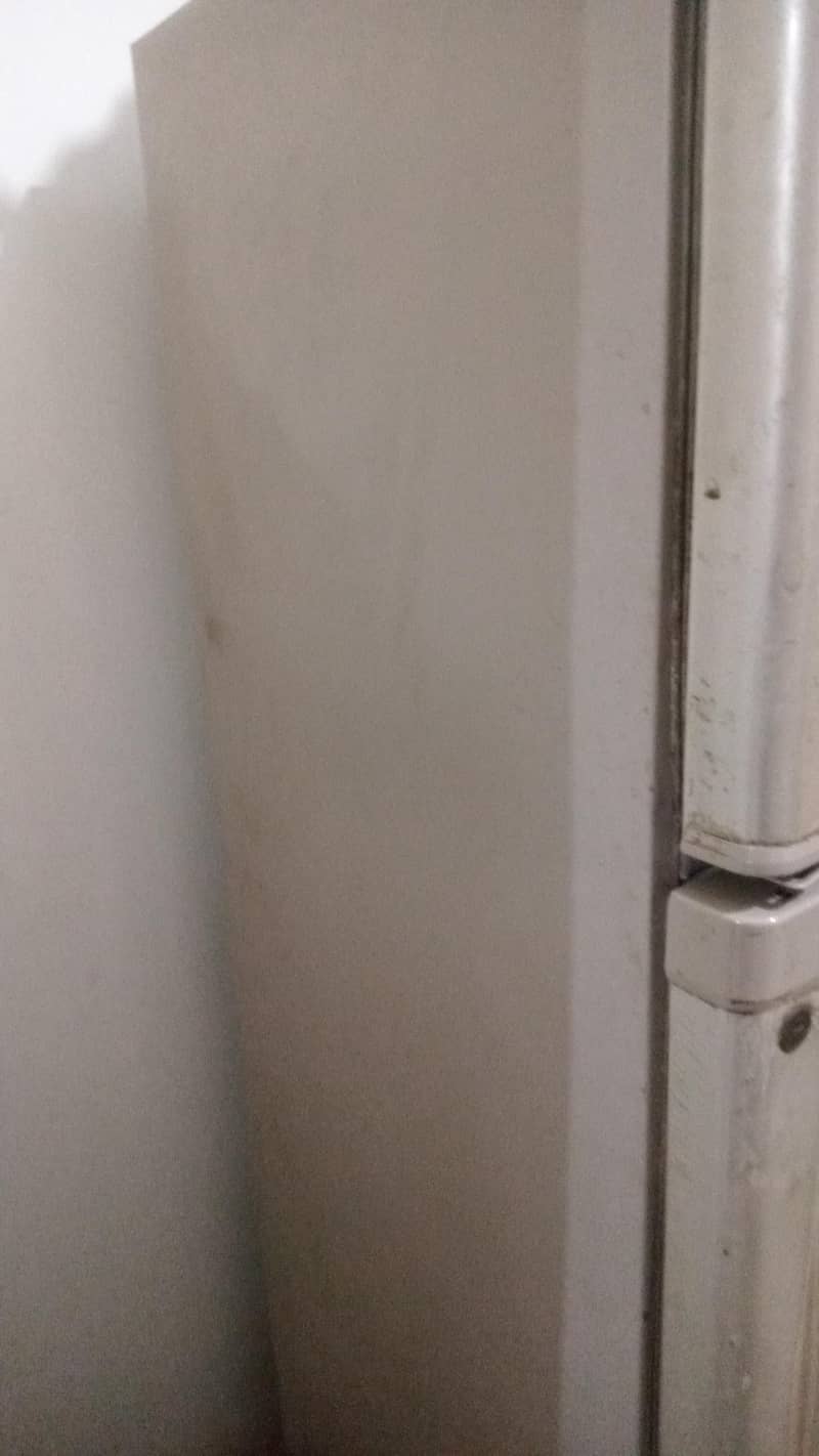 fridge 1
