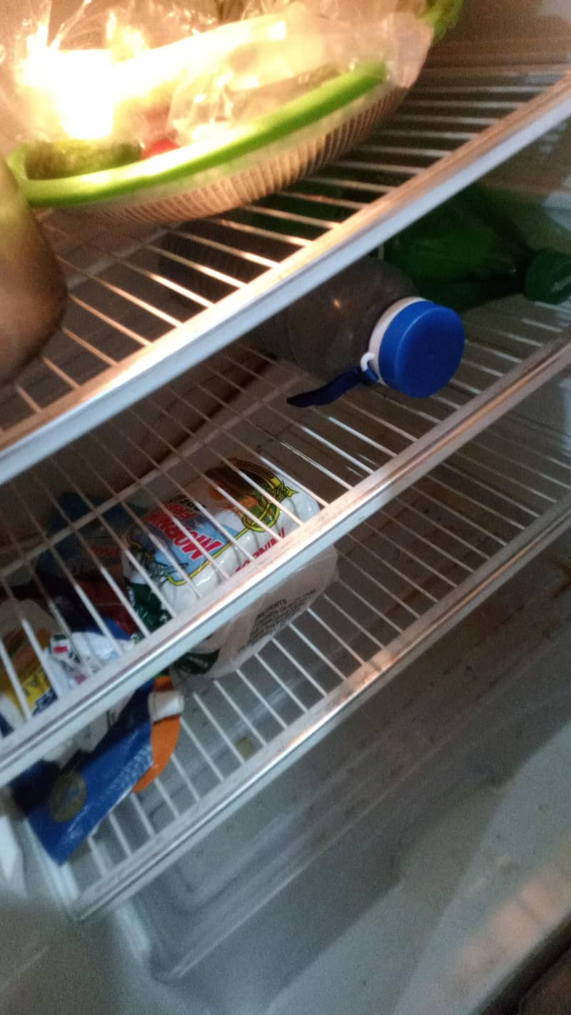 fridge 4