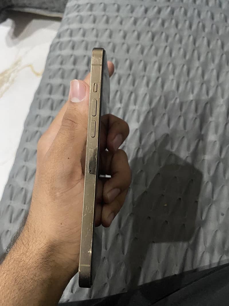 Apple iPhone 13 Pro Max 1
