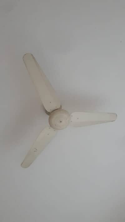 4 ceiling fans