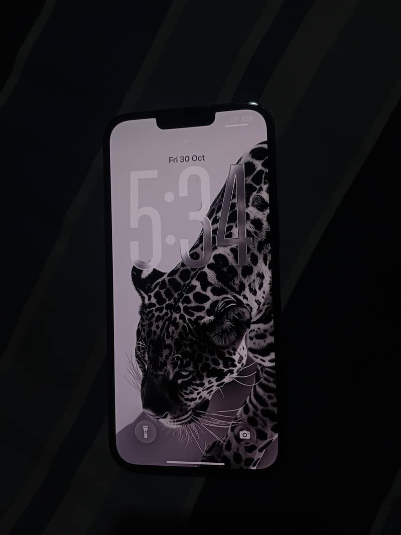 Apple iPhone 13 Pro Max 0