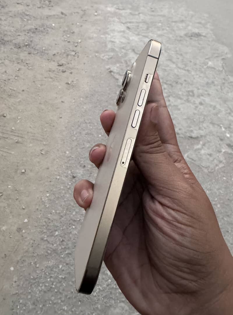 Apple iPhone 13 Pro Max 1