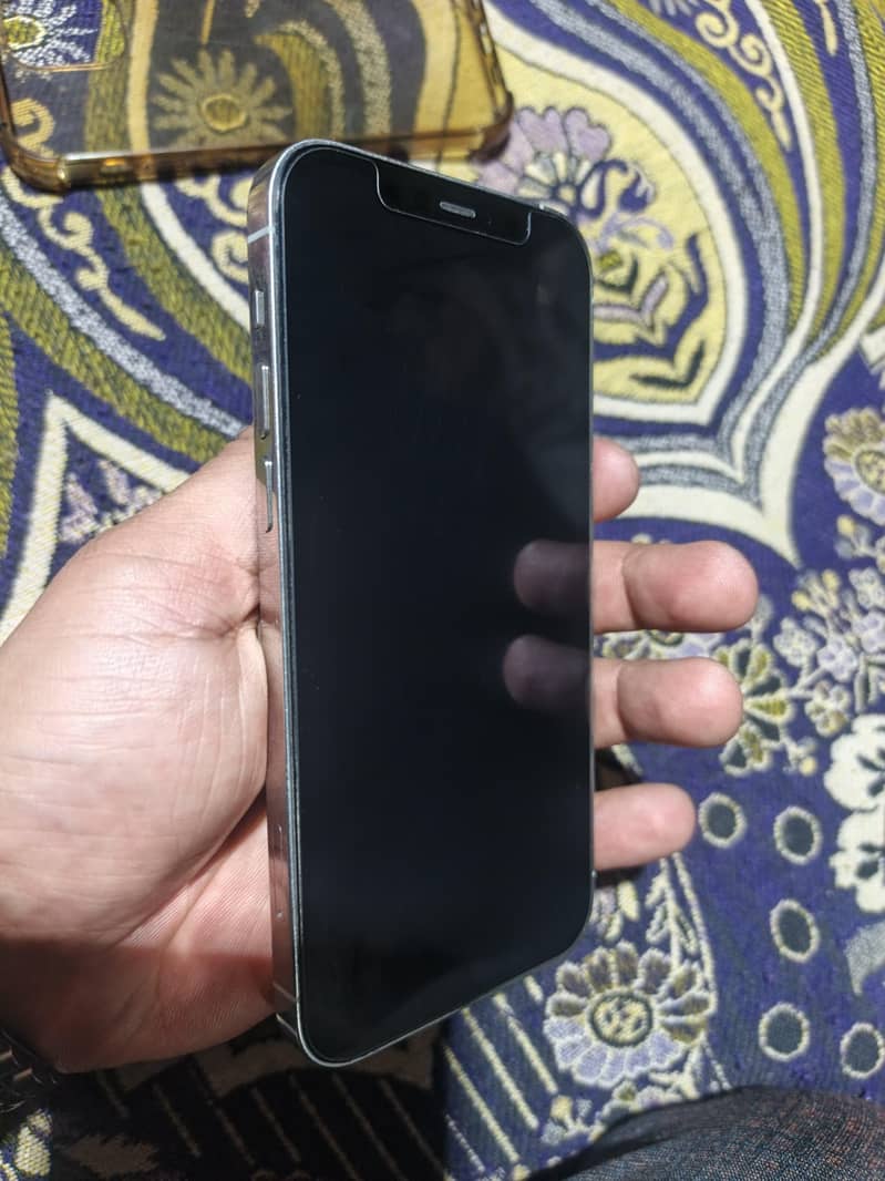 Apple iPhone 12 Pro 1