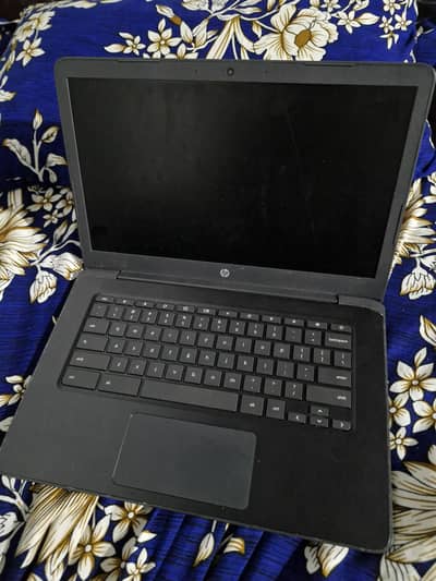 hp Chromebook