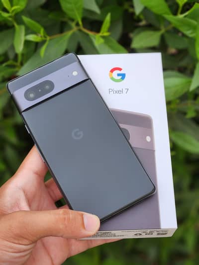 Google Pixel 7 Official PTA dual sim