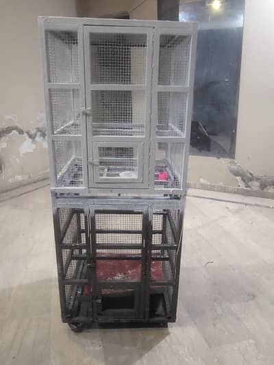 cage for birds 6×3 6×2.5 size