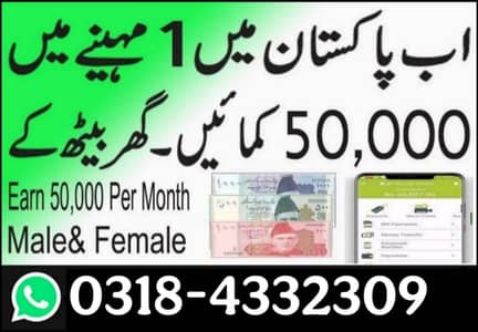 Job for male and female / Assignment Job / Data Entry Job / Typing job