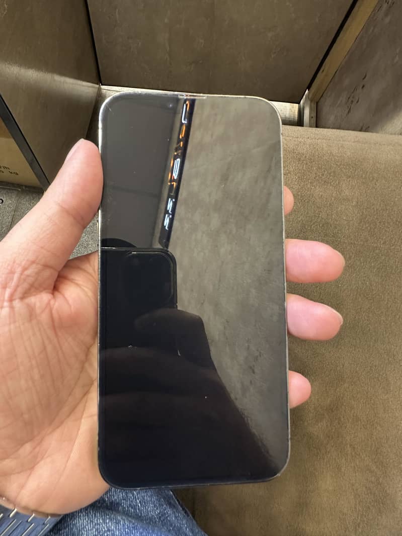 Apple iPhone 13 Pro Max 0