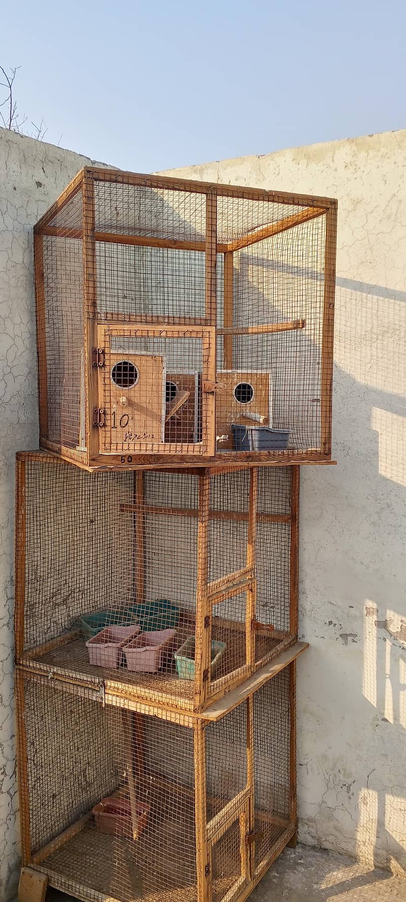 best cage parrots ke liye 3 - Other Animal Food & Accessories - 1121046741
