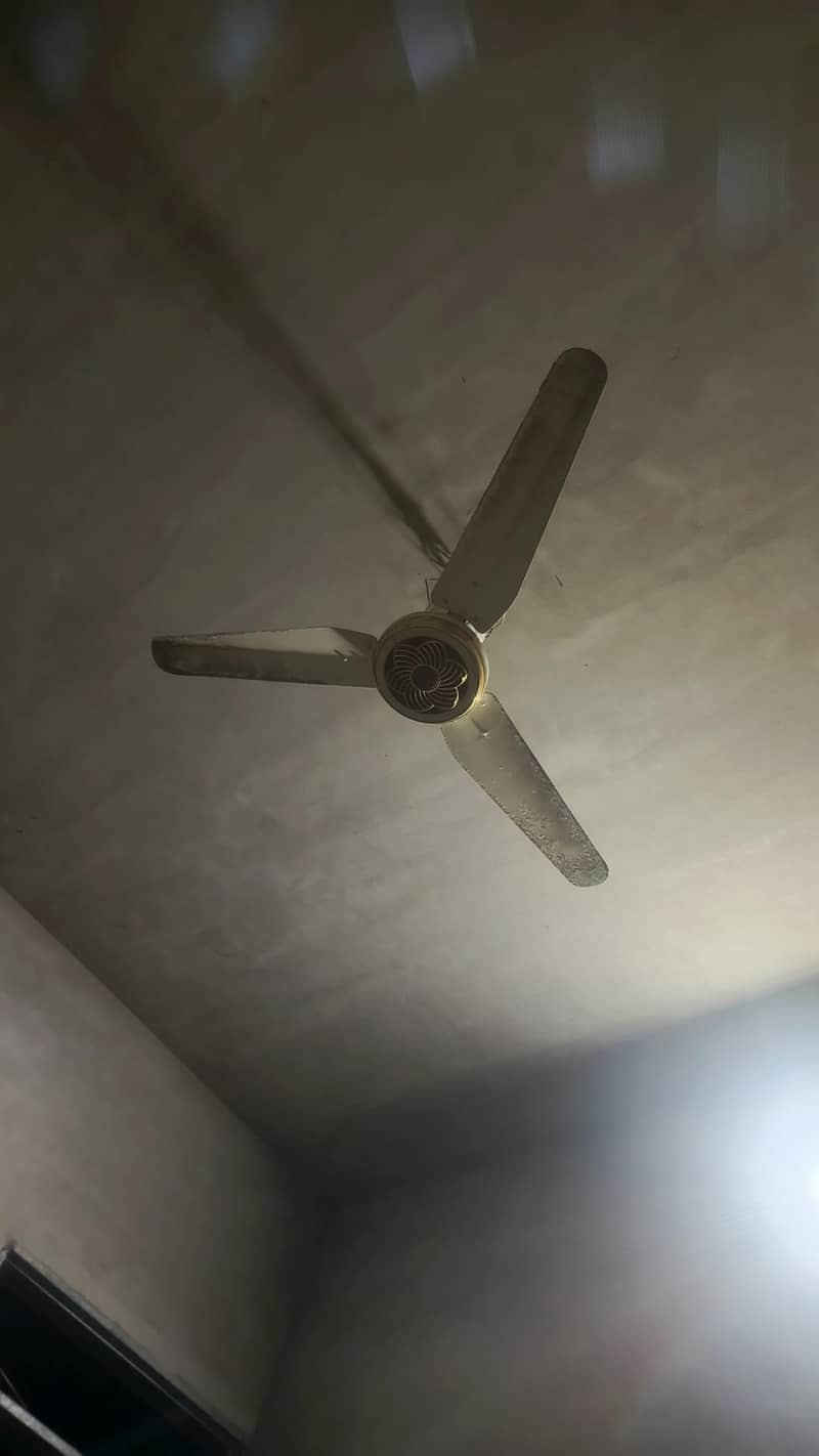 ac dc fan 1