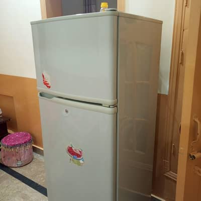 Pel Medium Size Fridge