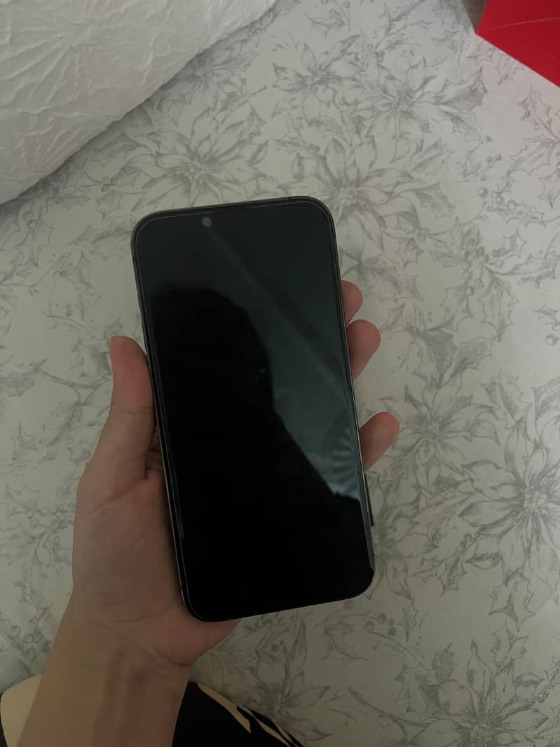 Apple iPhone 13 Pro Max 1