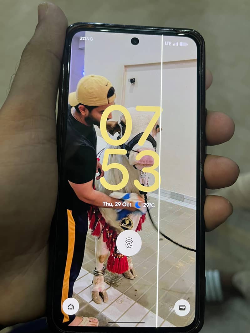 Google Pixel 8 0