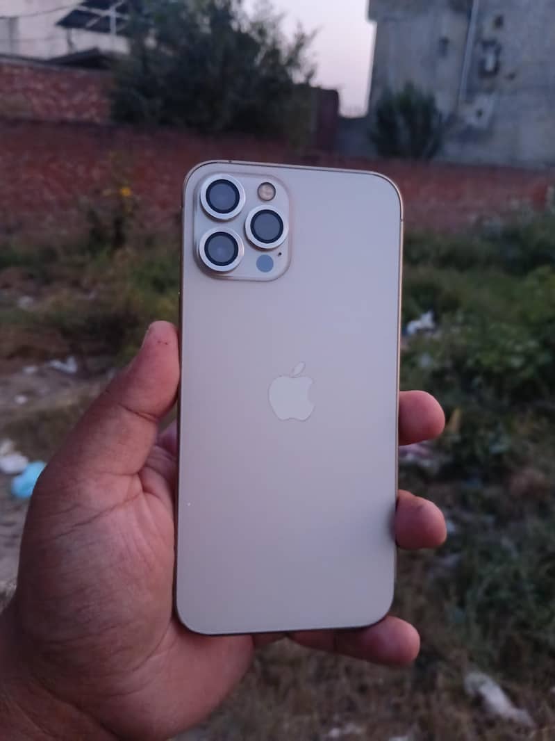 Apple iPhone 12 Pro Max 1