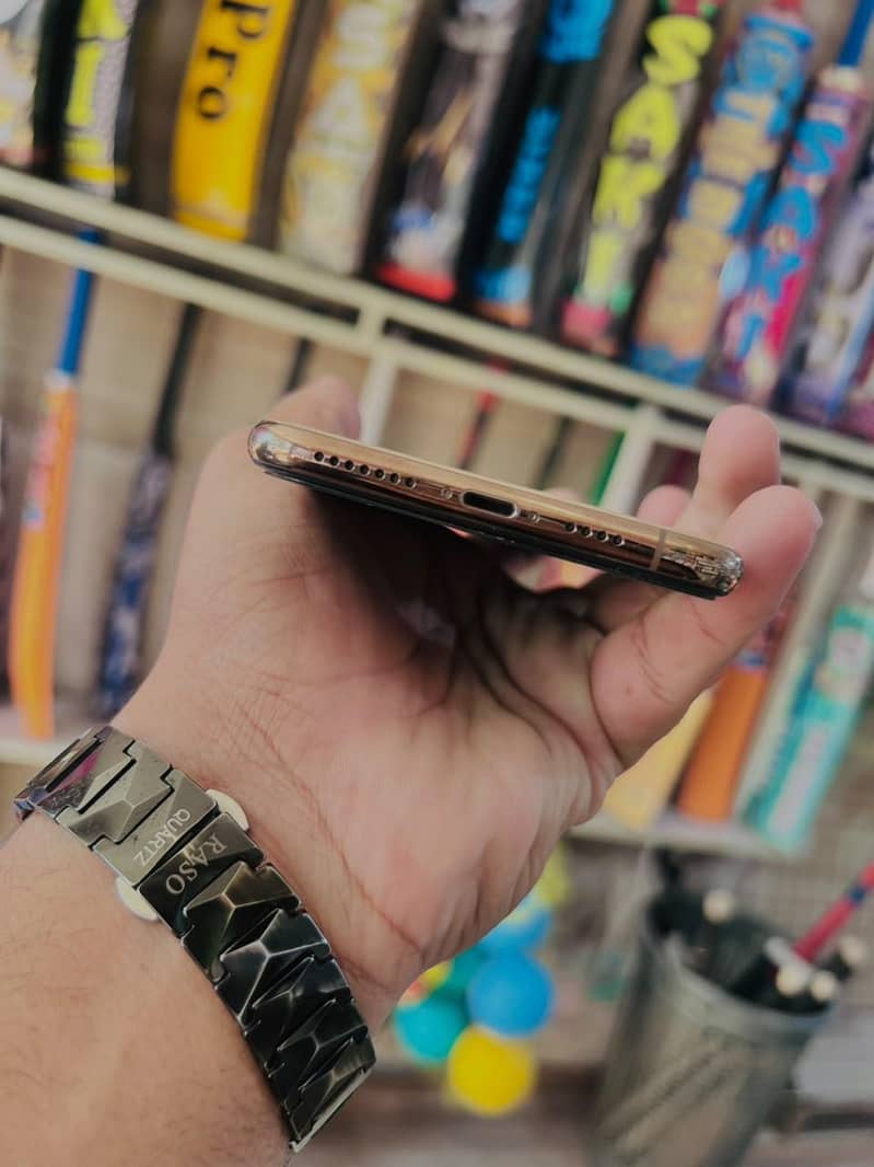 Apple iPhone XS Max 10