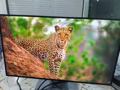 Dell  25inch Bazerless