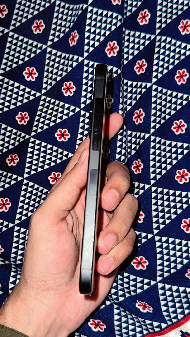 Apple iPhone 16 Pro Max 1