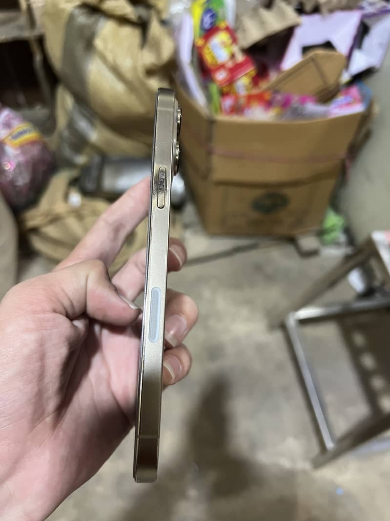 Apple iPhone 13 Pro Max 4