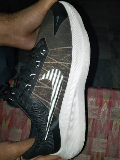Nike Zoom Winflo 8 Shoes – Original Design