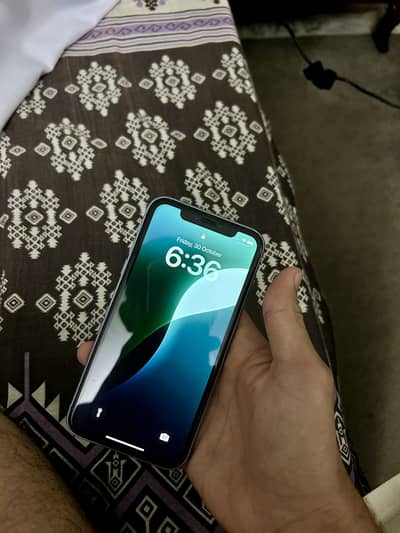 Apple iPhone XR 128 Gb Pta Approved Lush