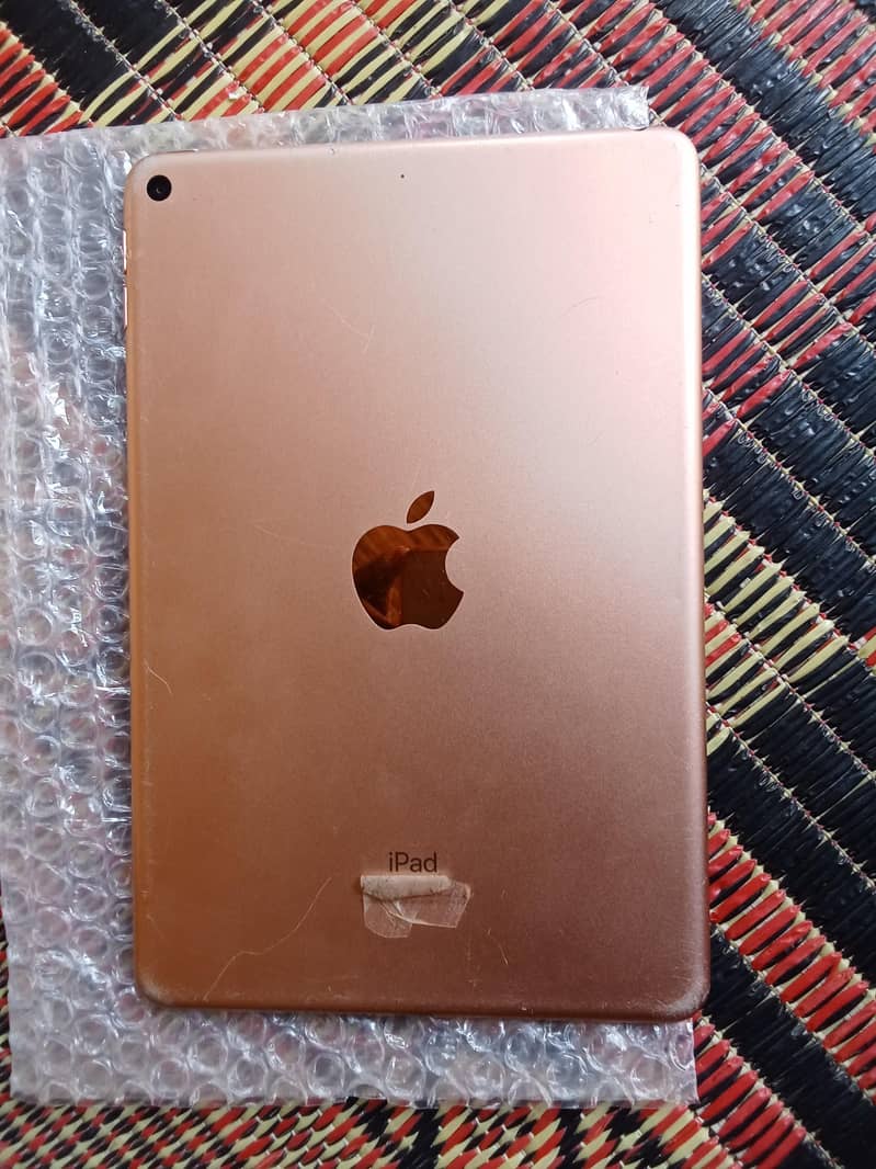 ipad mini 5 1