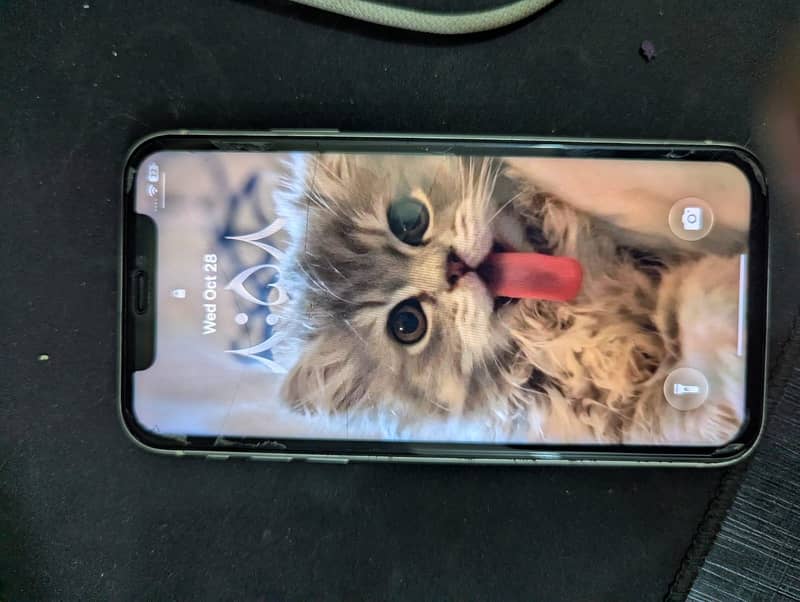 Apple iPhone 11 0