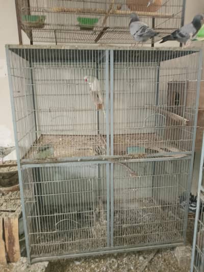 RAW PARROT CAGES