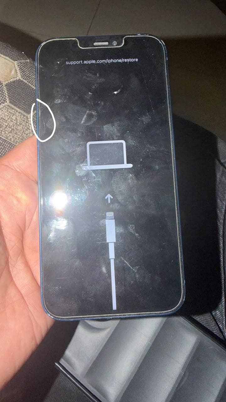 Apple iPhone 12 1