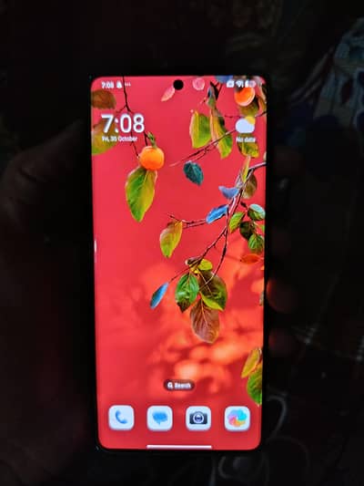 Xiaomi Redmi Note 14 Pro 8.256