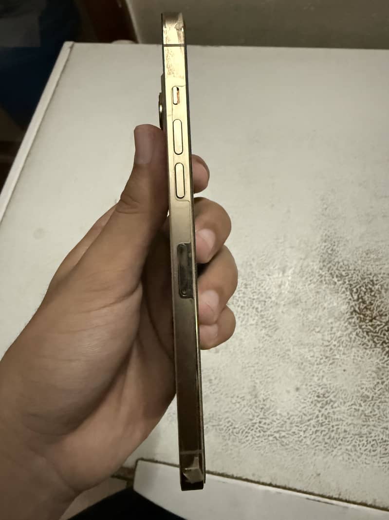 Apple iPhone 12 Pro Max 1