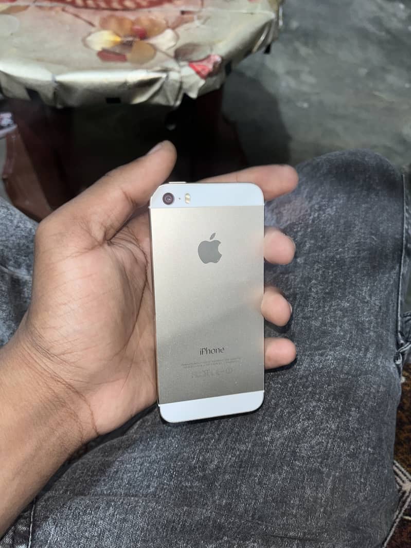 Apple iPhone 5s 0