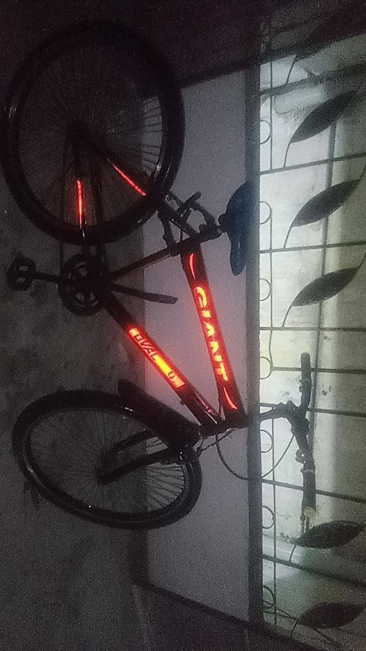 cycle 0