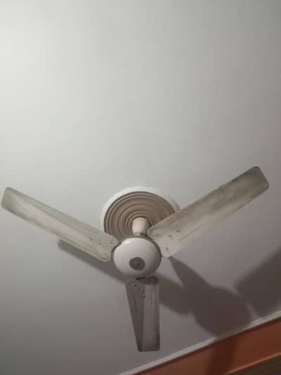 Pak fan for sale