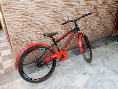 Bicycle for Sale