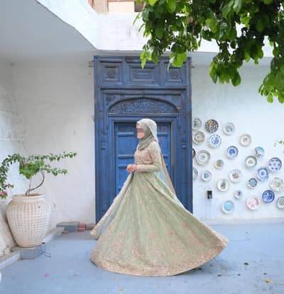 Mohsin Son's Bridal Dress